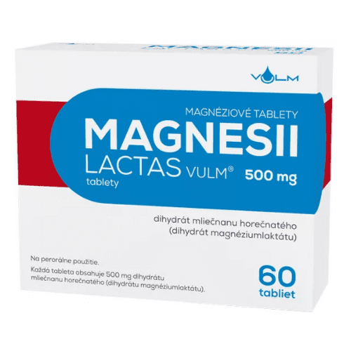 MAGNESII LACTAS 500 mg tablety 60 ks