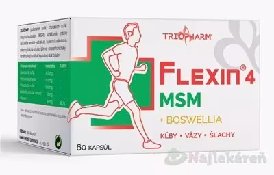 FLEXIN 4 MSM kapsuly 60 ks