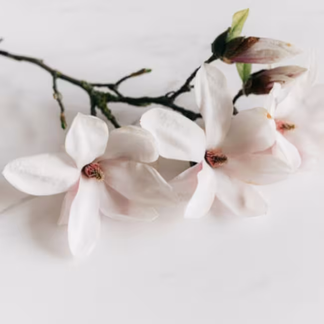 Sprchový krém Magnolia AROMA NATURAL 400 ml
