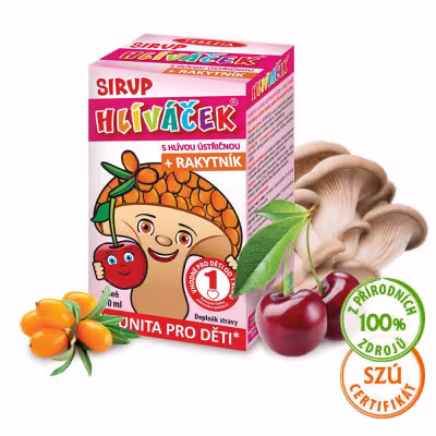 Terezia Company Hliviačik sirup s hlivou ustricovou a rakytníkom 100 ml