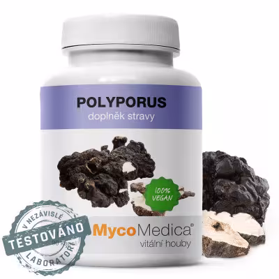 MycoMedica Polyporus extrakt 90 kapsúl