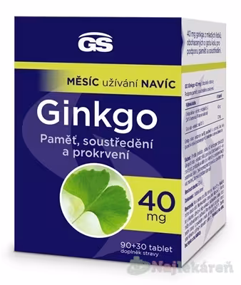 GS Ginkgo 40 mg tabliet 90+30