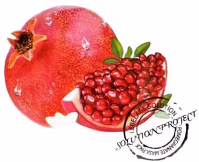 LEBELAGE Pomegranate Solution Mask Pack 25 g