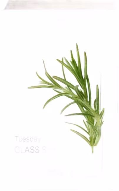 MIXSOON Daily Mask Pack Tuesday Glass Skin 20 ml