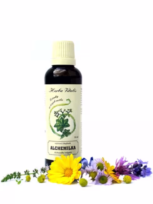 Tinktúra z byliny Alchemilka obyčajná HERBA VITALIS 50 ml