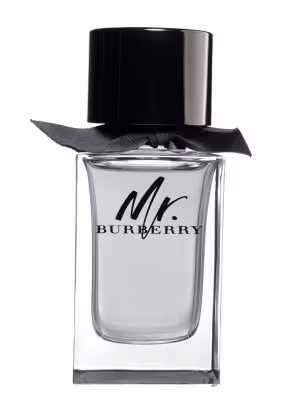 Burberry Mr. Burberry - EDT 100 ml