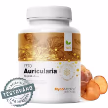 MycoMedica Auricularia PRO 90 kapsúl