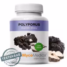 MycoMedica Polyporus extrakt 90 kapsúl