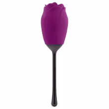 Playboy - vibrátor so stimuláciou jazykom - vodotesný, akumulátor - fialový