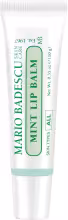 MARIO BADESCU Lip Balm Mint 10 g