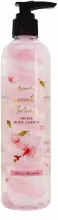 ACCENTRA Essential Botanicals Čerešňový kvet 300 ml