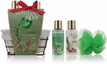 ACCENTRA Winter Spa v drôtenom košíku Zimné ovocie 200 ml