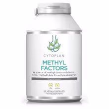 Cytoplan METHYL FAKTORY - B1 + Betaín + B2 + B6 + L-Metylfolát vápenatý + Vitamín B12 a Zinok, 60 kapsúl