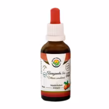 Salvia Paradise – Ashwagandha BIO tinktúra bez alkoholu, 50 ml