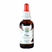 Salvia Paradise – Chaga (Rezavec šikmý) tinktúra bez alkoholu, 50 ml