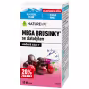 NATUREVIA Mega brusnice so zlatobyľou 20% 50 + 10 zdarma inov.2026 60 kapsúl