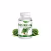 MORINGA Oleifera 90 kusov