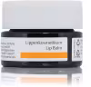 Dr. Hauschka Lip Balm 4,5 ml