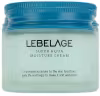 LEBELAGE Super Aqua Moisture Cream 70 ml