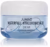 JUMISO Waterfull Hyaluronic Cream 50 ml