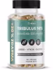 Movit Energy TRIBULUS 90 % – Kotvičník, 500 mg, 4 v 1, 90 + 30 kapsúl
