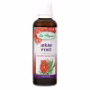 DR.POPOV Kvapky bylinné jarabina vtáčia 50 ml