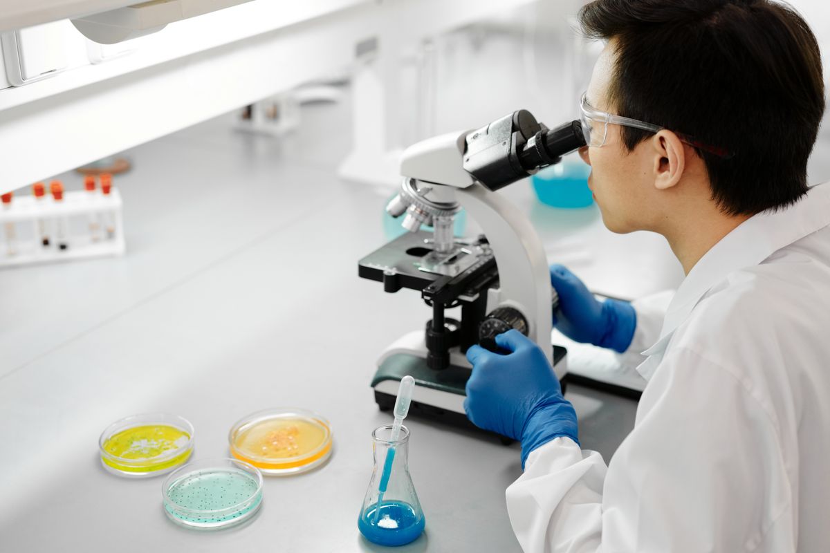 Laboratórne vyšetrenie vzoriek pod mikroskopom
